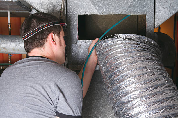 Best Air Duct Mold Removal  in Geneva, WA